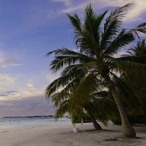Ein Strand in Tonga (Foto: imago images / Pond5 Images)