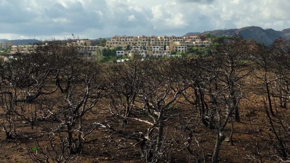 Morgenmagazin - Moma-reporter: Rhodos Sechs Monte Nach Den Waldbränden