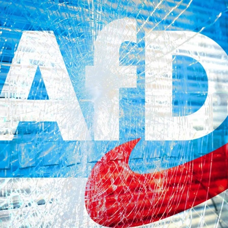 AfD: Der Anfang vom Ende?