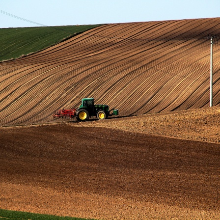 Traktor auf einem Feld