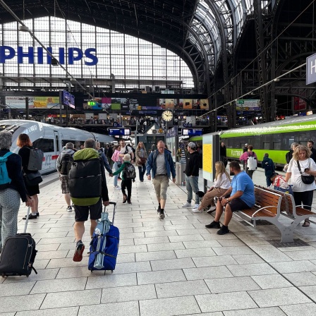 Züge von Deutscher Bahn und Flixtrain auf dem Bahnhof Hamburg