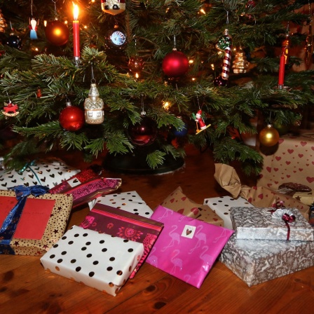 Verpackte Weihnachtsgeschenke liegen in einem Wohnzimmer unter einem geschmückten Weihnachtsbaum.