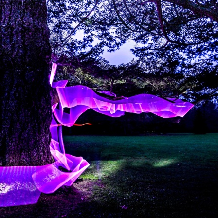 Lila Lichtstrahlen schlängeln sich um einen Baum. Die Installation ist Teil einer Aktion in Foerch bei Rastatt | Bild: picture-alliance/dpa
