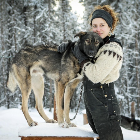 Alaska: First Nations am Yukon, Leben in der Blockhütte, Hundeschlittenrennen bei Nacht