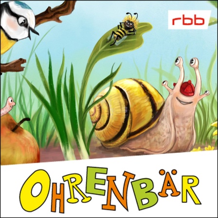 Bunte Zeichnung: eine Schnecke, eine Meise und andere Waldtieren drumherum (rbb/OHRENBÄR/Verena Körting)