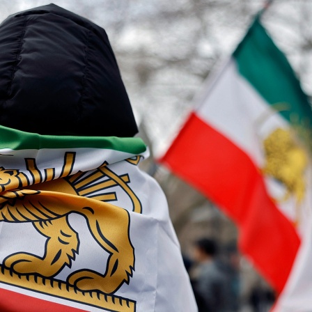 Ein Mensch ist von hinten zu sehen, um seine Schultern hängt die iranische Flagge.