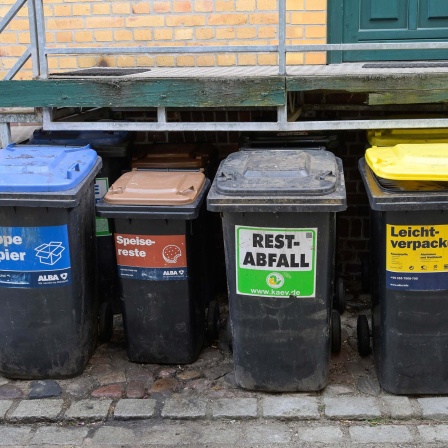 Blaue, braune, graue und gelbe Mülltonnen.