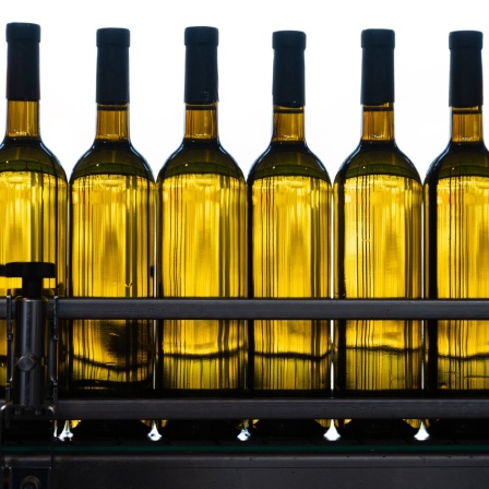Weinflaschen gefüllt mit Weißwein stehen auf einer Abfüllanlage