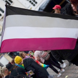 Rainbow Walk &amp; Women™s March und Straßenfest Fahne mit Symbol Asexuell, 2022