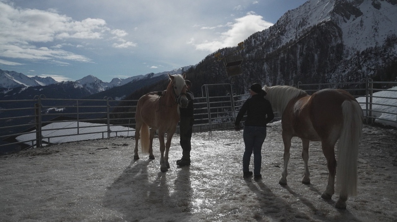 Der Liebe wegen als Almbäuerin im Südtiroler Passeiertal