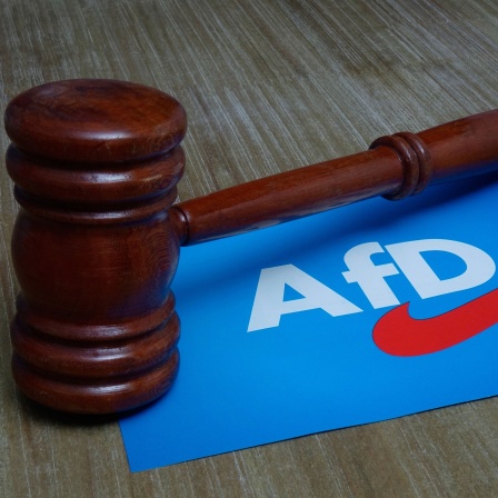 Holzhammer und Logo der AfD, Symbolbild