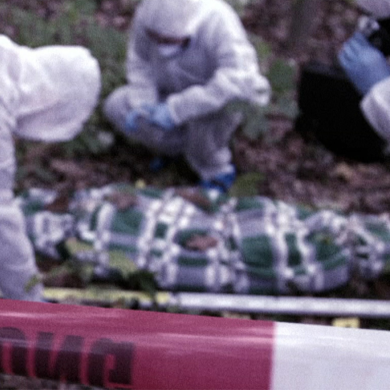 Die Spur Der Täter Der True Crime Podcast Des Mdr · Cold Case Maja S Mord An Teenagerin