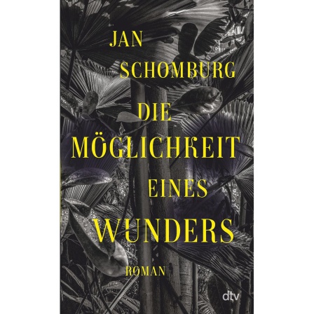 Buchcover: "Die Möglichkeit eines Wunders" von Jan Schomburg