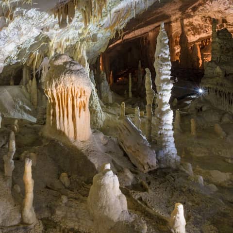 Die Höhle Postojna in Slowenien (Foto: imago images / Nature Picture Library)