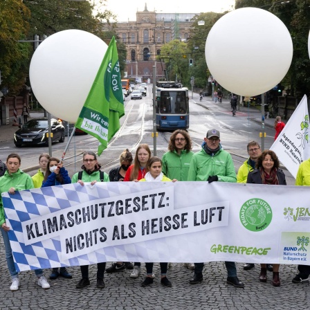 Mitglieder von BUND, Greenpeace und Fridays for Future