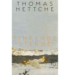 Buchcover: "Sinkende Sterne" von Thomas Hettche