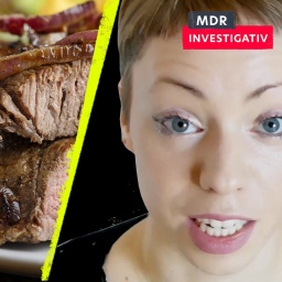 MDR Investigativ - Hinter der Recherche - Vegan vs. Fleisch