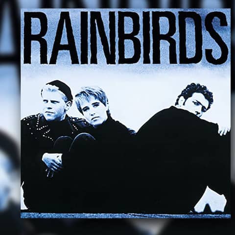 CoveR: Rainbirds - &#034;Rainbirds&#034;
