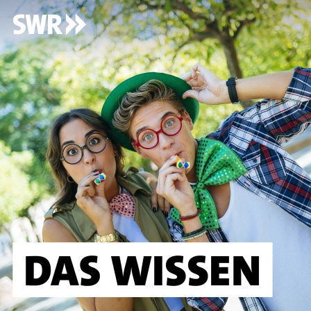 Junges Paar mit Partytröten: Ab 14 strafmündig, ab 16 Bier trinken, ab 18 wählen und als &#034;erwachsen&#034; gelten. Aber ab wann sind wir wirklich erwachsen, und was bedeutet das eigentlich?