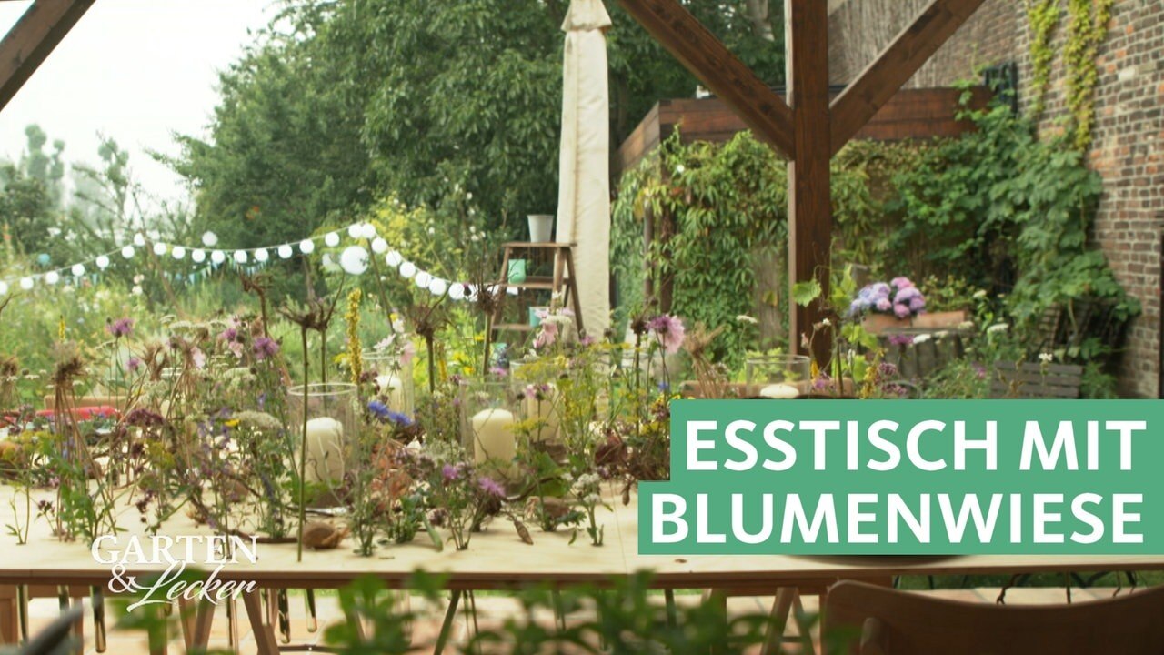 Garten & Lecker Björns Tipp Esstisch mit Blumenwiese ARD Mediathek
