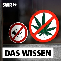 Zwei Aufkleber an der Eingangstür eines Restaurants zeigen, das Rauchen und der Konsum von Cannabis im Restaurant verboten sind: Ein Blick in die 200-jährige Geschichte der Drogenprohibition zeigt: Die Entscheidung, ob eine berauschende Substanz legal oder illegal ist, wurde recht willkürlich gefällt. Sie hatte wenig mit Gesundheitsschutz zu tun, dafür aber viel mit Rassismus, Diskriminierung und Stigmatisierung.