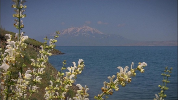 Erlebnis Erde - Wilde Türkei (2): Vom Schwarzen Meer Zum Ararat