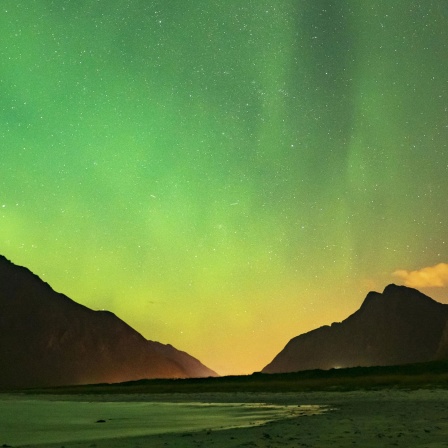 Polarlicht, Polarlichter vor Sternenhimmel am Strand, Haukland,