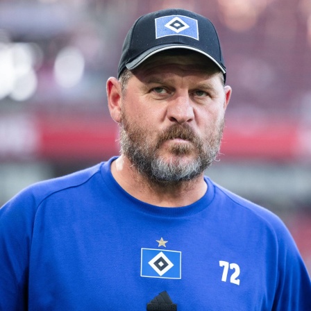 Steffen Baumgart, Trainer des Hamburger SV