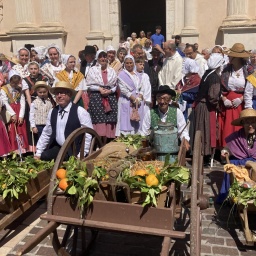 Orangenblüten und Massentourismus