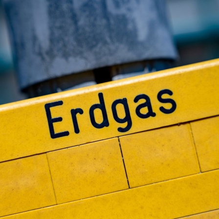 Erdgas