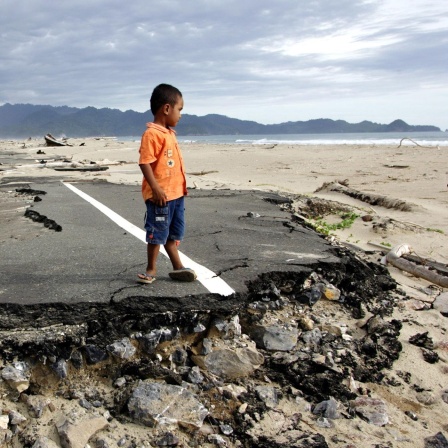 Der Tsunami 2004 - Wie Tiere eine Insel vor der Katastrophe gerettet haben