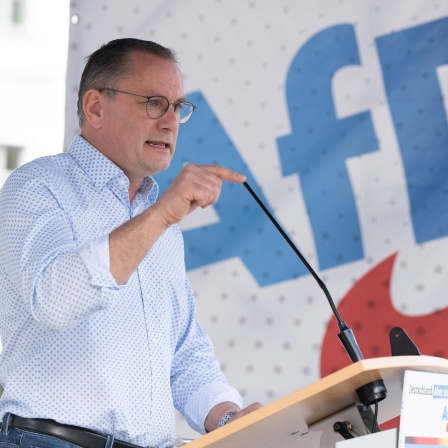 ino Chrupalla, AfD-Bundesvorsitzender und Fraktionsvorsitzender der AfD, spricht auf einer Wahlkampfveranstaltung seiner Partei in Dresden (Bild: Sebastian Kahnert/dpa) 