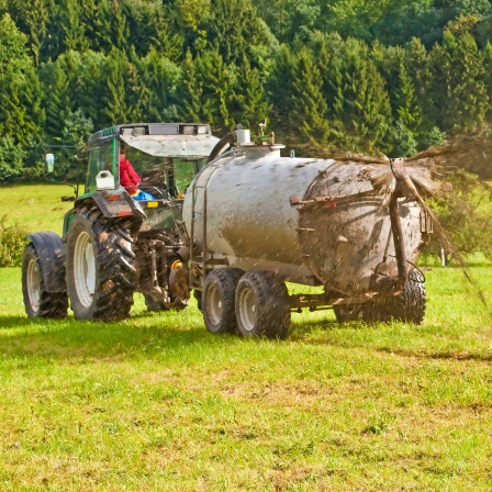 Ein Traktor verteilt Gülle auf einem Feld