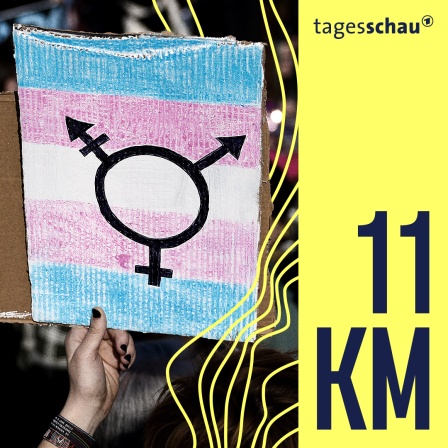 Das Transgender-Symbol auf einem Banner während eine Demonstration in Krakau, Polen.