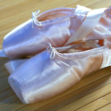 Ballettausbildung heute: Schwanengesang oder Revolution?