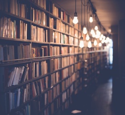 Bibliotheken im Wandel