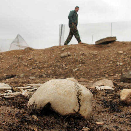  Irak, Sindschar: Größtenteils menschliche Knochen liegen auf einem Massengrab nahe des Sindschar-Gebirges