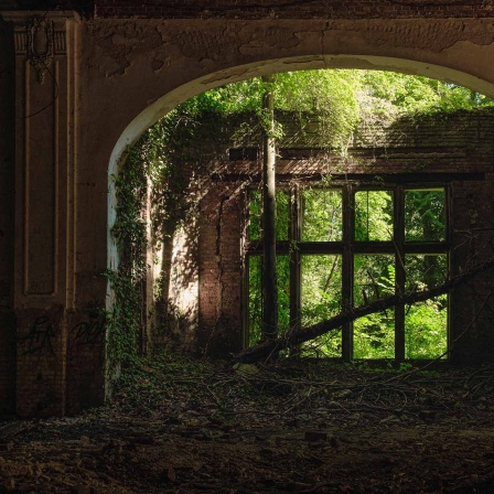 Beelitz-Heilstätten: In der Ruine des Speisesaals im Alpen-Haus.