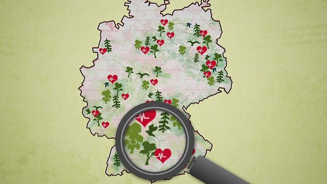 Grafik: Herzerkrankungen über Deutschland verteilt