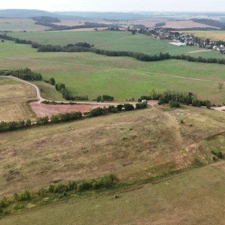 Ein Feld von oben.