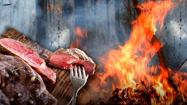 Grillfleisch auf Gabel, Feuerflamme, im Hintergrund Waldlandschaft