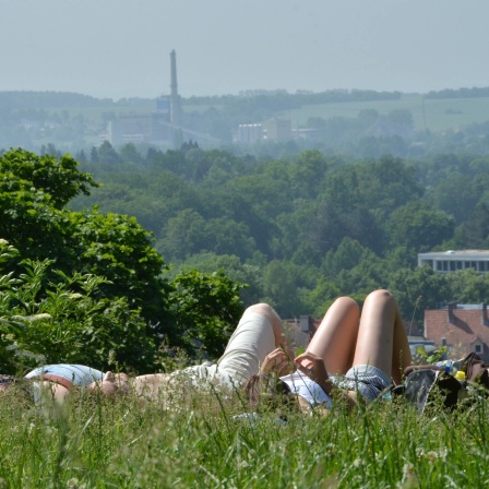 Menschen liegen auf einer Wiese in der Sonne.