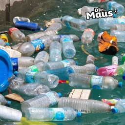 Plastikmüll im Wasser