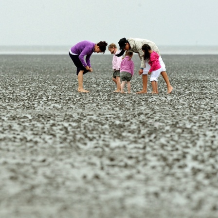 Nordseeurlauber im Wattenmeer vor Sahlenburg in Cuxhaven.
