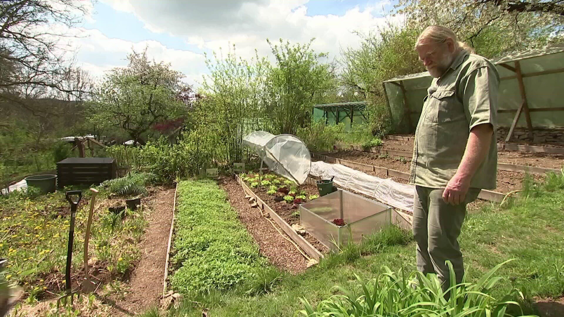 MDR Garten Mehrjähriges Gemüse im Garten anbauen Arten, Standort und