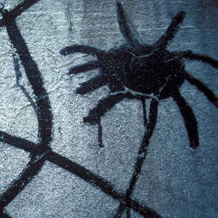 Bedrohlich wirkendes Wandbild einer Spinne mit Netz.