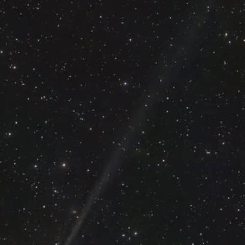 Das Bild zeigt den Kometen C/2022 E3 (ZTF). Der Komet kommt nur alle rund 50 000 Jahre vorbei und könnte in den kommenden Tagen mit bloßem Auge am Nachthimmel zu sehen sein.