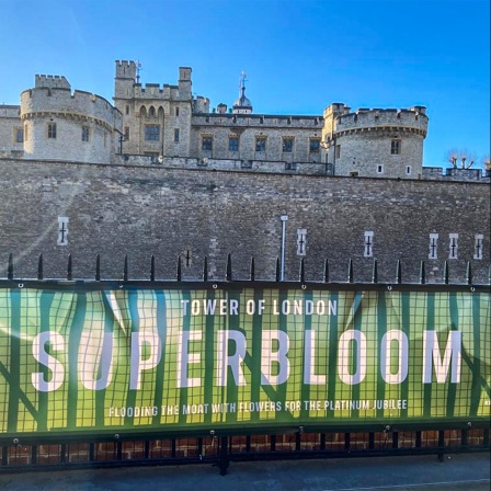Im Hintergrund der Tower of London, im Vordergrund ein Schild, auf dem das Wort "Superbloom" steht