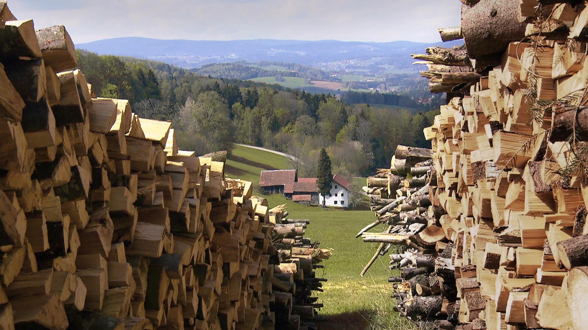 Unter unserem Himmel Brennholz Ein Film aus dem Bayerischen Wald