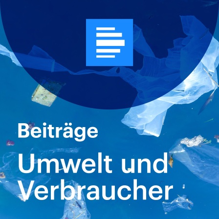 Müllhalde Europas: Der Plastikabfall sammelt sich an Schwedens Nordwestküste